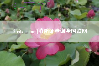 柳林消防证查询全国联网