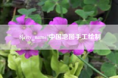 柳林中国地图手工绘制