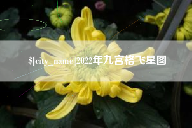 柳林2022年九宫格飞星图