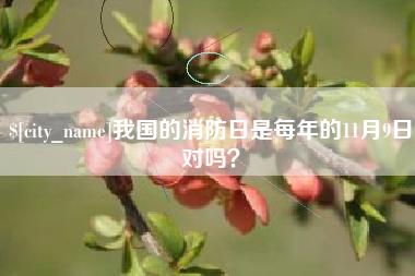 柳林我国的消防日是每年的11月9日对吗？