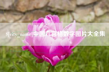 柳林中国九宫格数字图片大全集