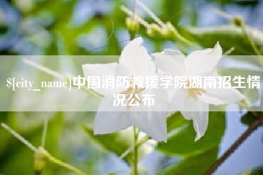 柳林中国消防救援学院湖南招生情况公布