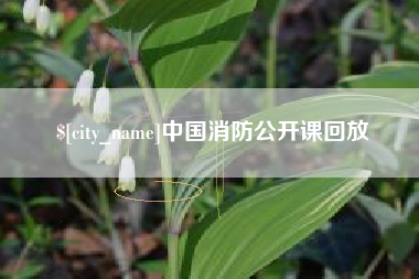 柳林中国消防公开课回放
