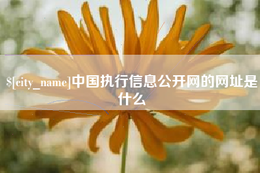 柳林中国执行信息公开网的网址是什么