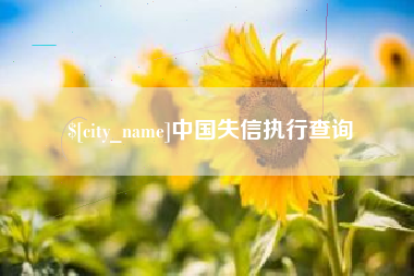 柳林中国失信执行查询