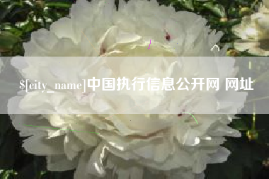 柳林中国执行信息公开网 网址