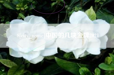 柳林中国的几块金牌2021