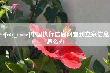 柳林中国执行信息网查到立案信息怎么办