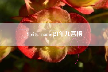 柳林21年九宫格