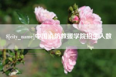 柳林中国消防救援学院招生人数