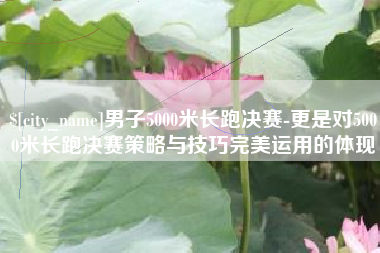 柳林男子5000米长跑决赛-更是对5000米长跑决赛策略与技巧完美运用的体现