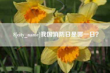 柳林我国消防日是哪一日？