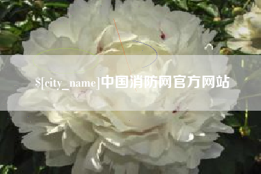 柳林中国消防网官方网站