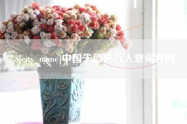 柳林中国失信执行人查询官网