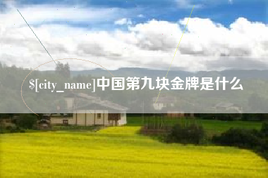 柳林中国第九块金牌是什么