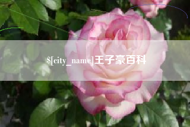 柳林王子豪百科