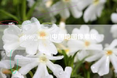 柳林中国地图像素版