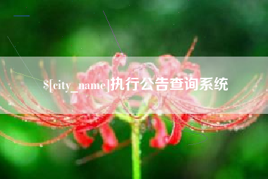 柳林执行公告查询系统