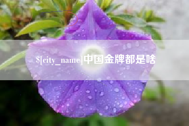 柳林中国金牌都是啥