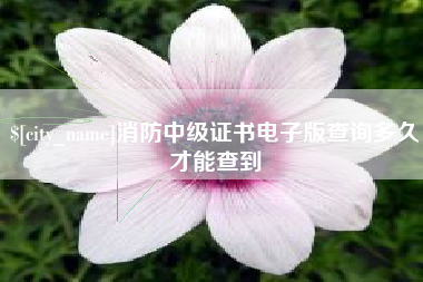柳林消防中级证书电子版查询多久才能查到