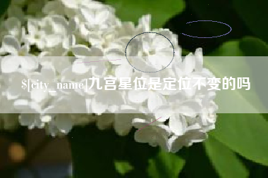 柳林九宫星位是定位不变的吗