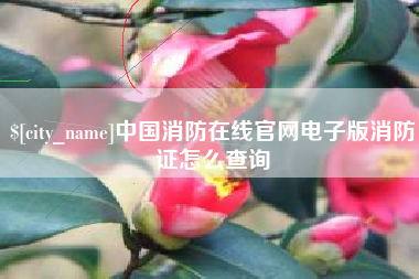 柳林中国消防在线官网电子版消防证怎么查询