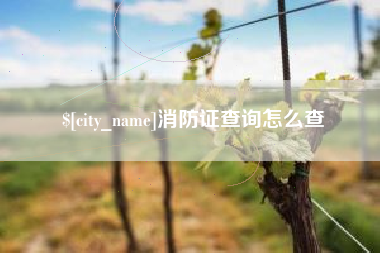 柳林消防证查询怎么查