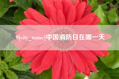 柳林中国消防日在哪一天