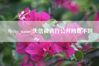 柳林失信被执行公开网查不到