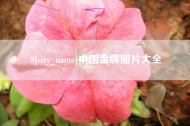 柳林中国金牌图片大全