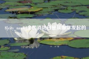 柳林全国消防日是从哪年发起的