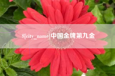 柳林中国金牌第九金 柳林中国金牌第九金