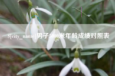 柳林男子5000米年龄成绩对照表