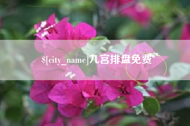 柳林九宫排盘免费