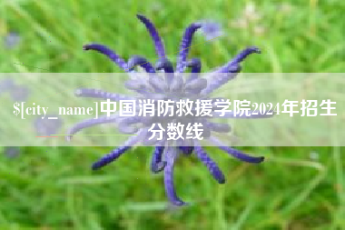 柳林中国消防救援学院2024年招生分数线