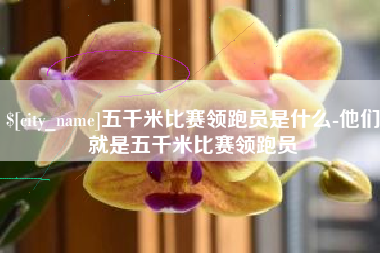 柳林五千米比赛领跑员是什么-他们就是五千米比赛领跑员