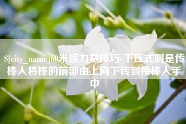 柳林60米接力赛技巧-下压式则是传棒人将棒的前部由上向下传到接棒人手中