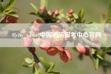 柳林中国消防报考中心官网