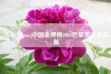 柳林中国金牌榜2024巴黎奥运会最新