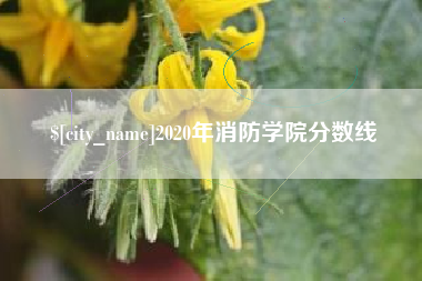柳林2020年消防学院分数线