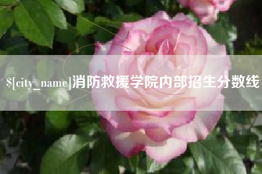 柳林消防救援学院内部招生分数线