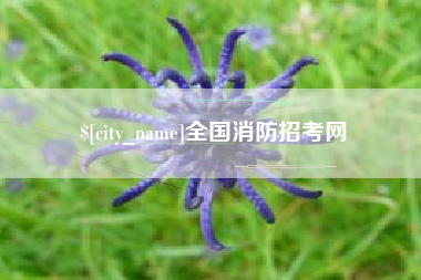 柳林全国消防招考网 柳林全国消防招考网