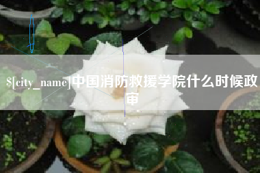 柳林中国消防救援学院什么时候政审