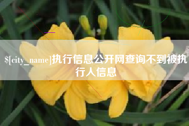 柳林执行信息公开网查询不到被执行人信息