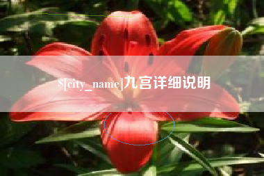 柳林九宫详细说明