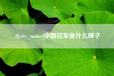 柳林中国冠军是什么牌子