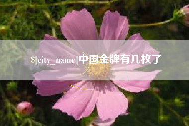 柳林中国金牌有几枚了