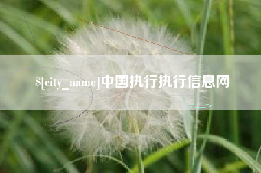 柳林中国执行执行信息网