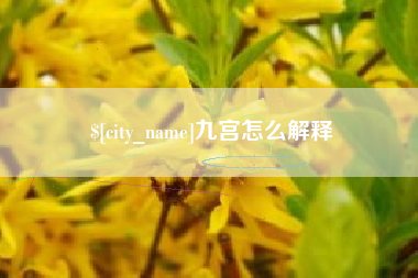 柳林九宫怎么解释