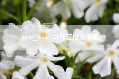 柳林579九宫格如何排
